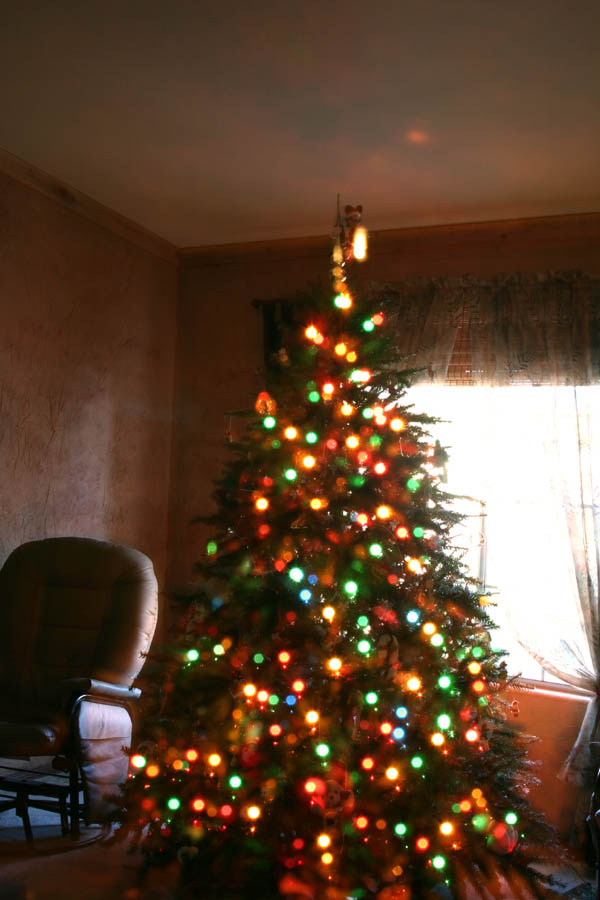 Christmas tree [Double exposure, dark over light, Linear Dodge] <!--CRW_1842.CRW and CRW_1843.CRW-->